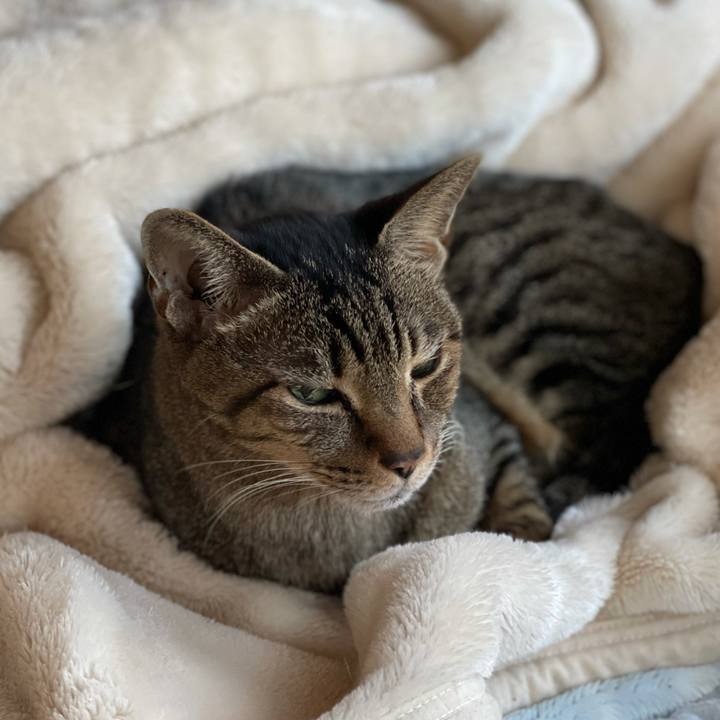 5b34b1dd 97f3 4304 b1a0 3357356417ca 1610760388177