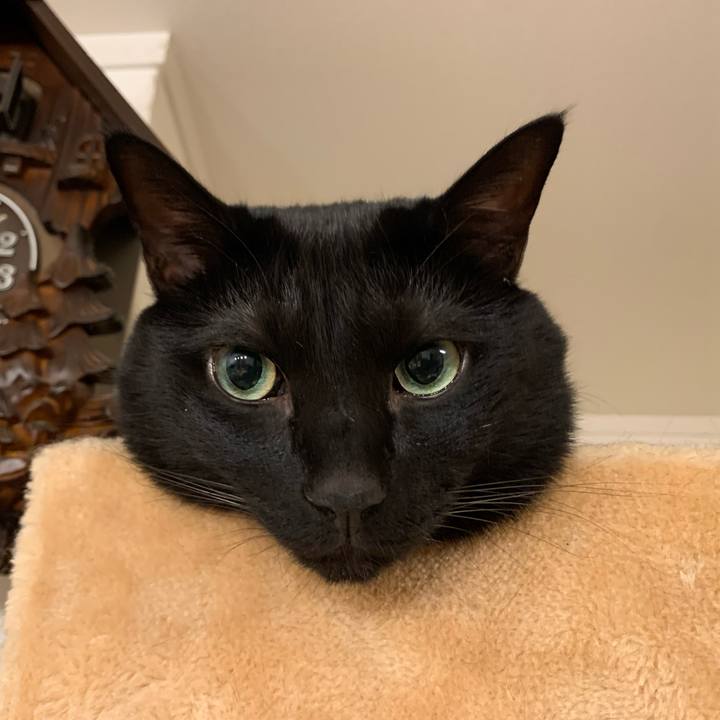 5b34b54b 0d67 46e3 8027 4ba4e5a917a8 1694013053226