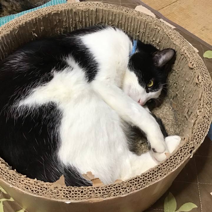 5b34c20d 6d06 43e1 a256 b537fe17d1e2 1744017305148