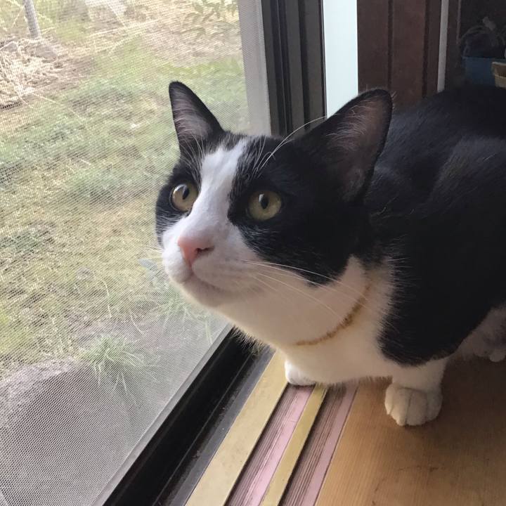 5b34f586 c592 4aec a564 2f0b7f5d63d9 1648246447567