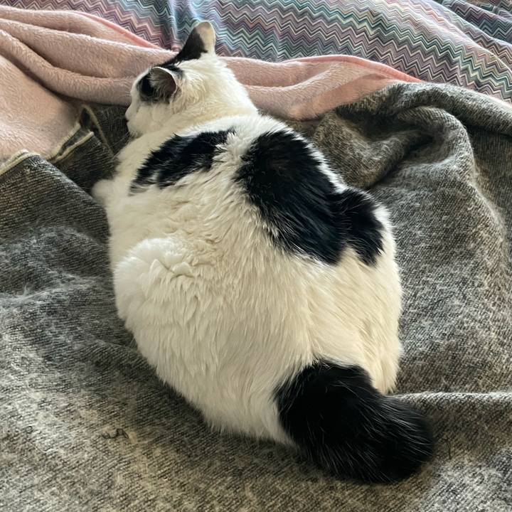 5b350e62 ac42 4383 bb06 67b8572a2f72 1672961614188