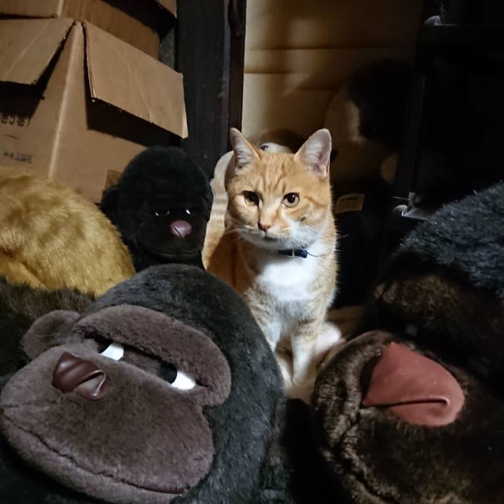 5b352297 2402 431d 88a3 23fee1666c4e 1606212192405