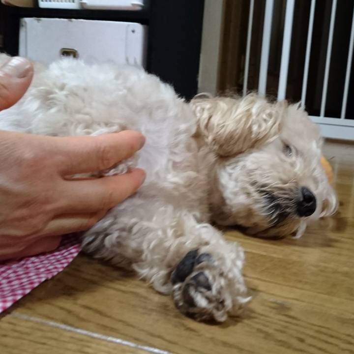 5b353efc 5859 4913 bcd2 f20149e8df19 1529413440156