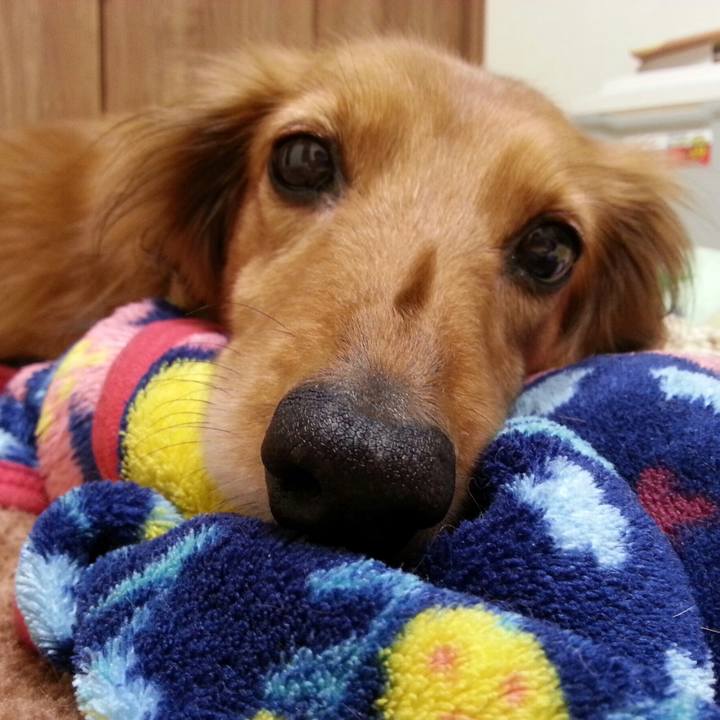 5b356c7c 8dc9 4ac6 b850 2f167c929f27 1552307092467