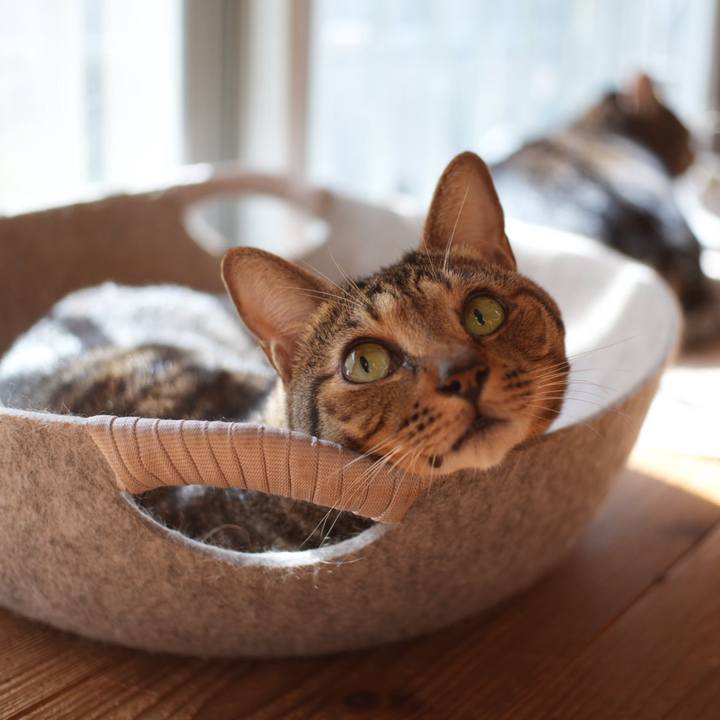 5b3580e6 feff 4f79 b3f0 ada6d3b94651 1730464549074