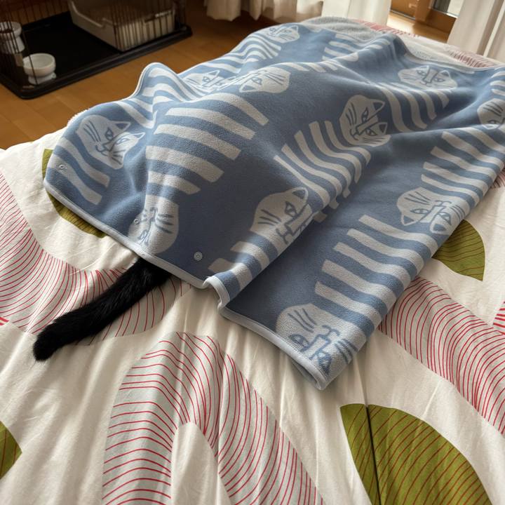 5b35b6dc 5f31 4885 8024 b2d49b749f2e 1759804728285