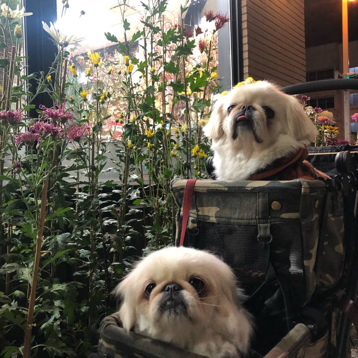 5b35e5d7 5c9e 4ecb ac7f 1afaecce02f3 1573377969969