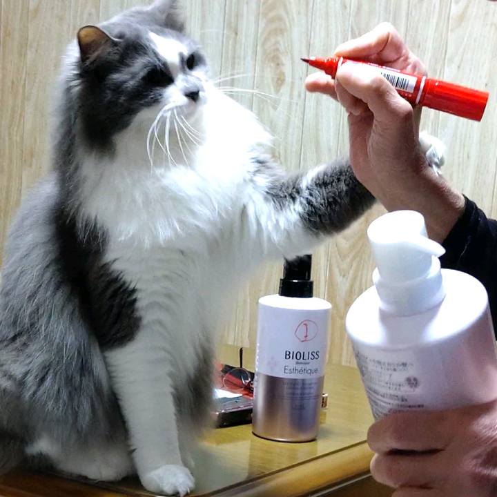 5b35f280 893b 446f 81aa da56049b42e8 1615203561874