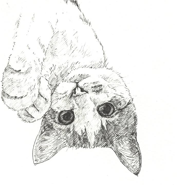 5b36073d 6775 41ab afa4 34bb80452db7 1572788024312