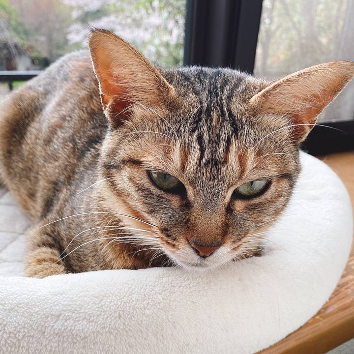 5b360cd3 4876 41f7 97ab 999d09dd3a81 1585815924187