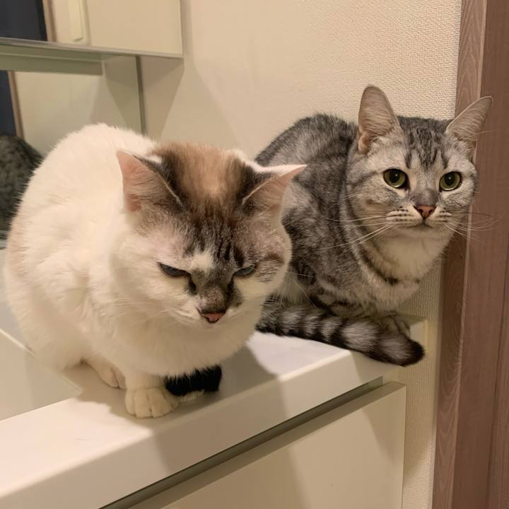 5b3643cb 10d0 4d55 8a85 b257baee2994 1576069349430