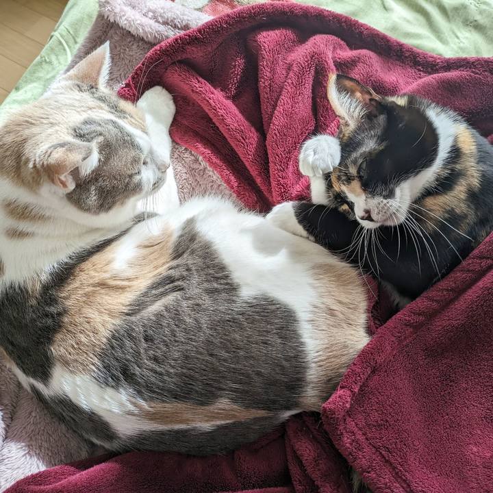 5b36455d d306 4ea2 bcb5 b905c7403c0e 1700626320850