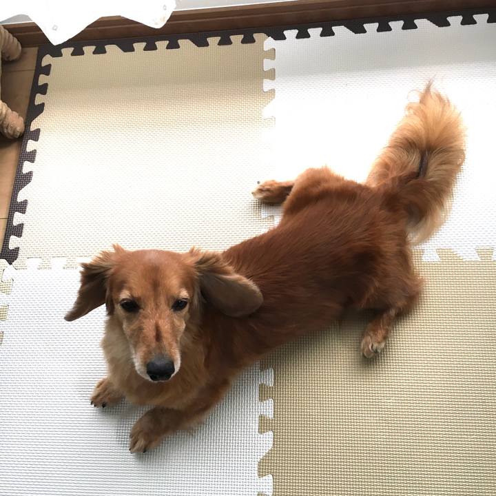 5b365ca4 3baf 43da b153 9cd256e90d9f 1620557810801