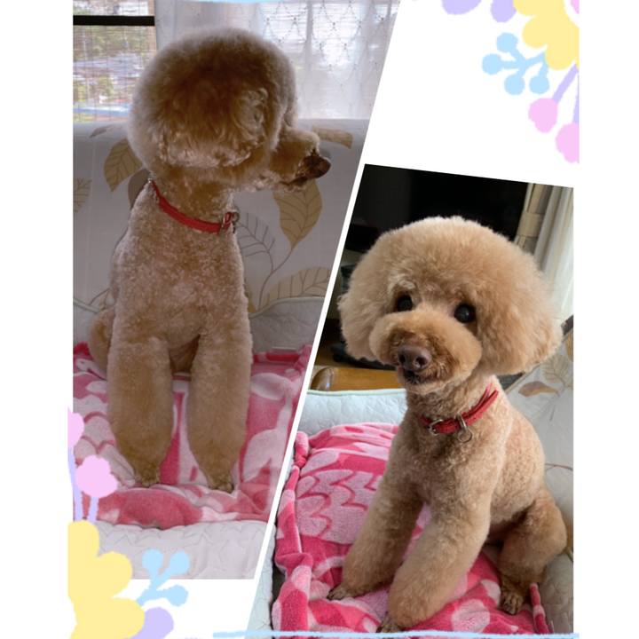 5b366ac1 718b 4b54 bcb6 a46b8b684fde 1559110174715