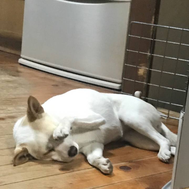 5b36815a 7995 464a aa40 7083bb75e822 1518347001077