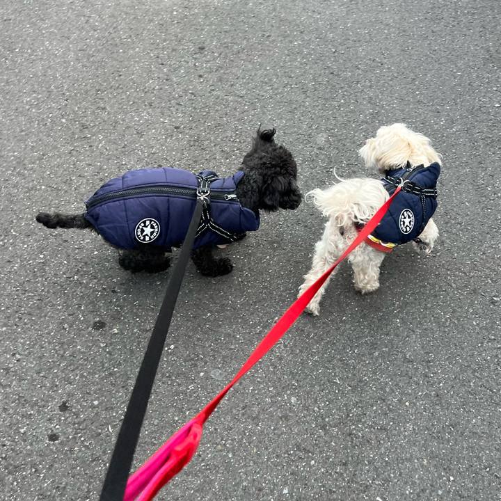 5b36e087 08fe 4854 8ab5 c9c3ff553ad4 1766103248162