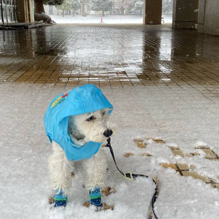 5b36f266 43ba 492d 9a67 e794135cfc07 1770513742118