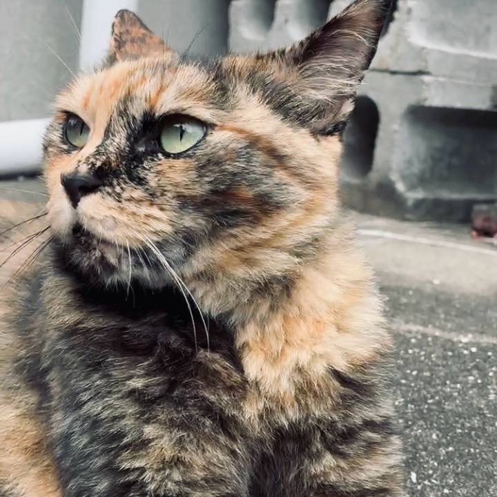 5b36fd90 7a16 46b0 800c cb0691c66a2a 1750214660867