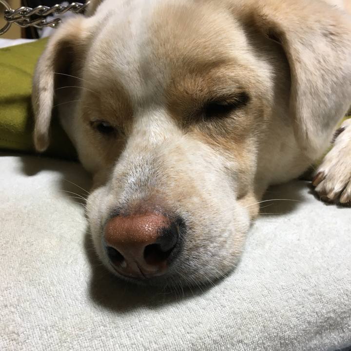 5b36fff2 0c91 4840 bc3e 97dc2277af80 1507904961631