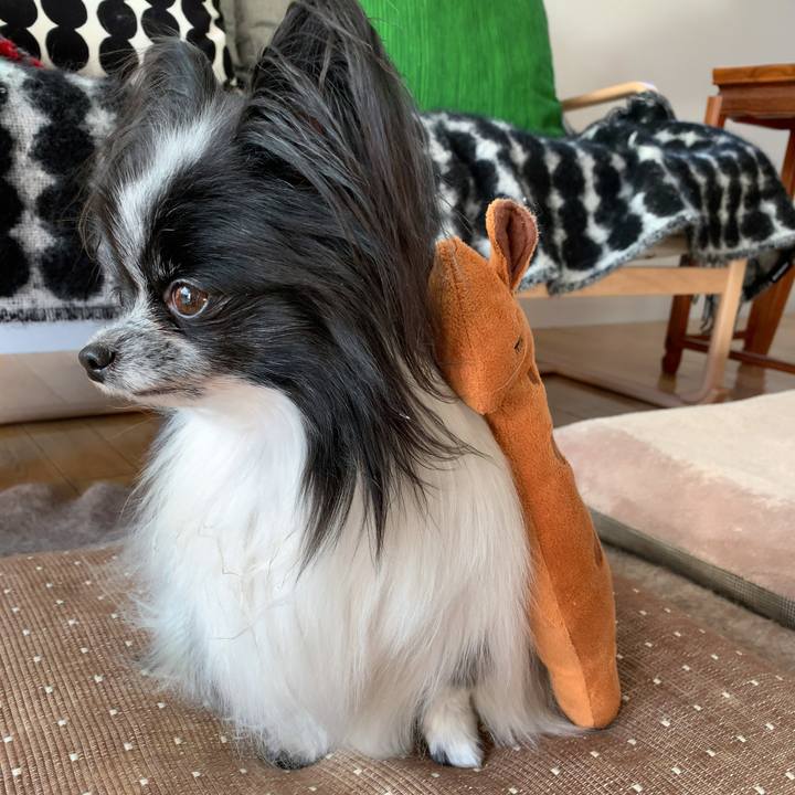 5b370a7e b5ac 4b2e 8fcf e71f1606f177 1573884367814