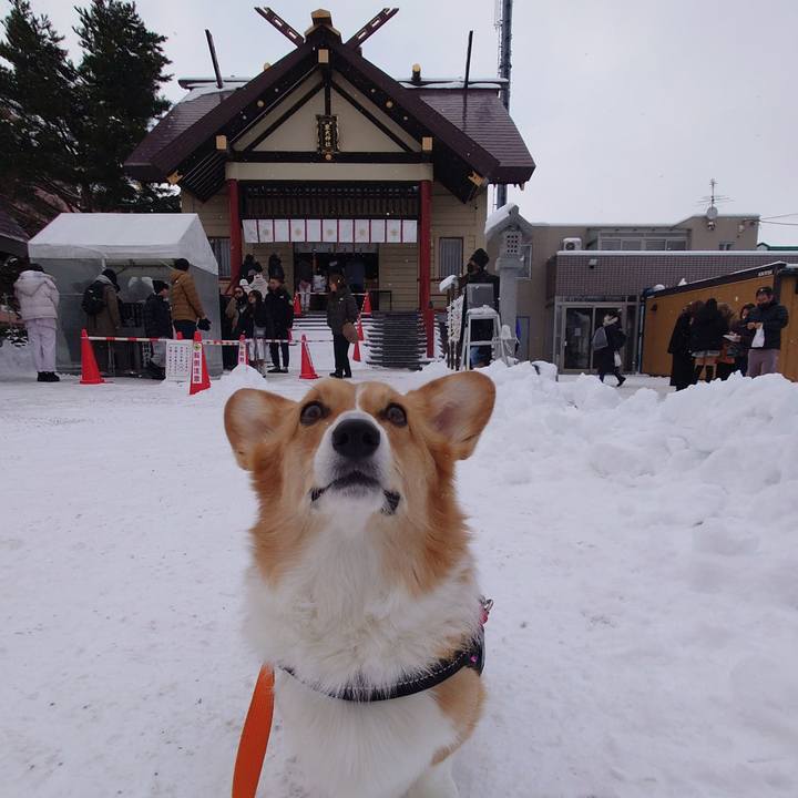 5b3715c2 0baa 4b05 aca7 b0267fc0af64 1767502024953