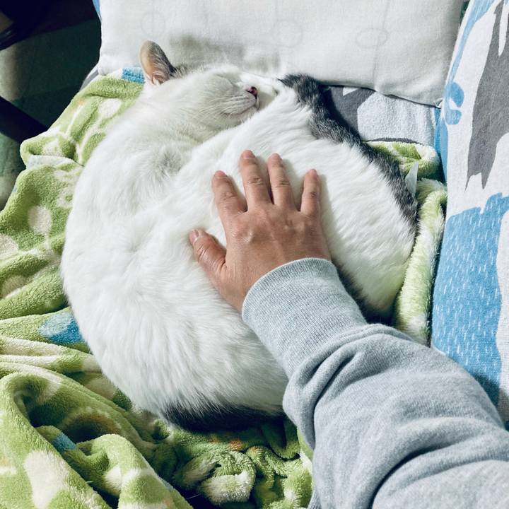 5b3741ed 26d1 4295 a7bf 061c0a24d4b1 1696778902444