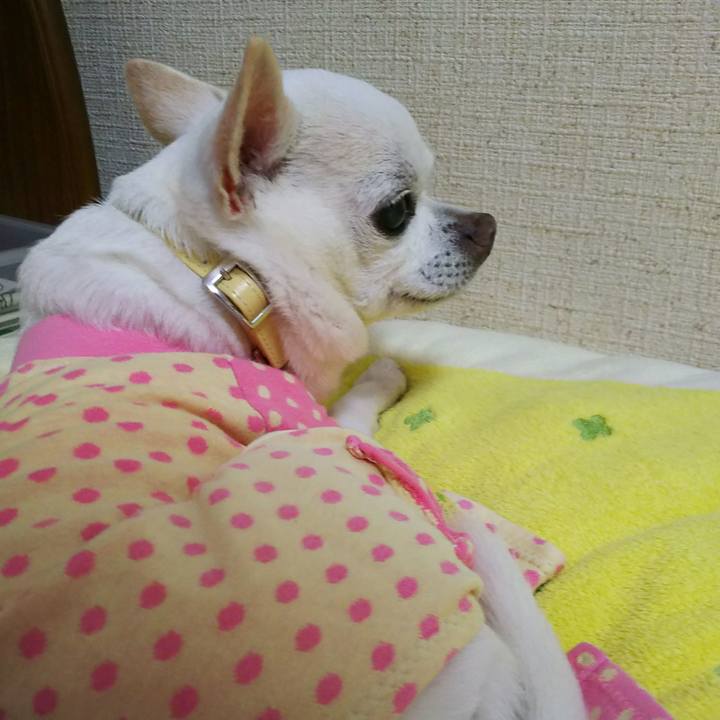 5b37442f 4f1d 45a5 a741 a0b68ea3fa6d 1529107376261