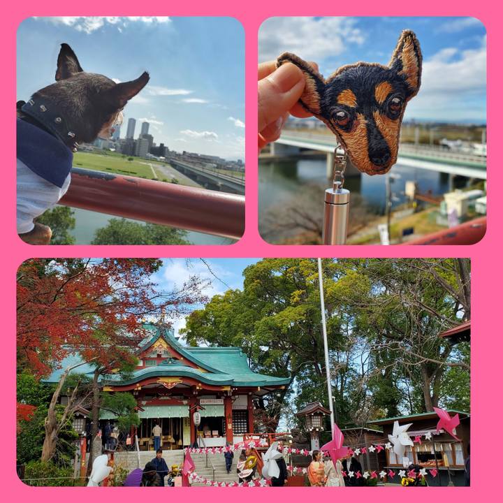 5b376f98 ae4c 4825 94ee aa04b7cc55ef 1765697016984