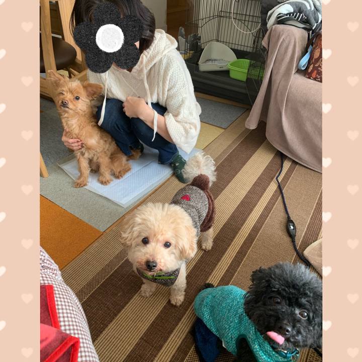 5b37b37b 4eda 4dae 8e55 79ca33dbf25a 1577932843027