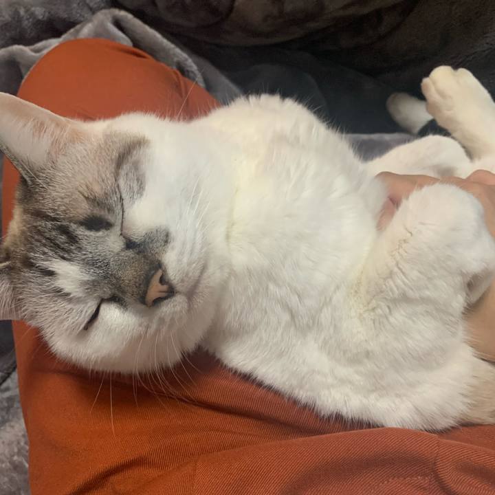 5b37bf0d 2f75 46f9 892e 9b3fb0d17fc4 1676628926156