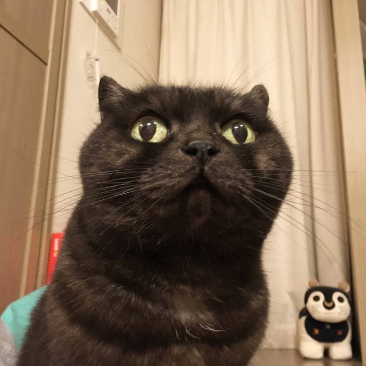 5b37ef69 8ef8 496d a8cc 478686289dba 1581462343129