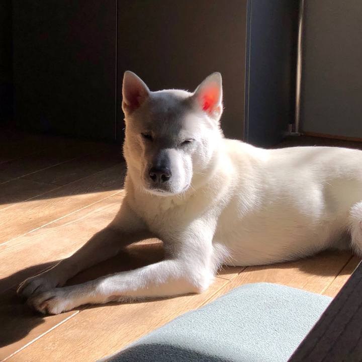 5b37f305 a770 46c0 90aa 3324db1a4666 1579601466017