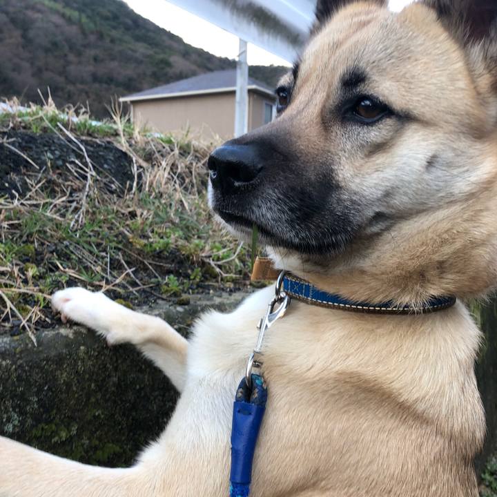 5b384941 68ae 446a 83ce b63b56785b4d 1519908748595