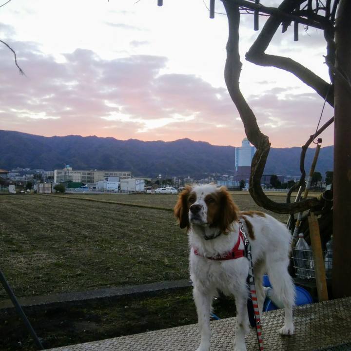 5b386f85 6457 4984 8f74 72541cc51d3d 1547769686387