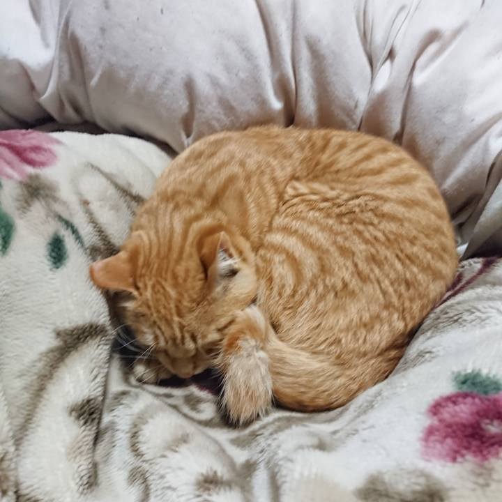 5b388139 5615 47f2 8e11 612545f41ff0 1647433342583