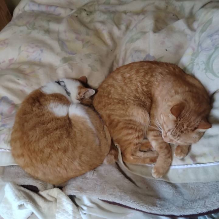 5b38b474 5a29 41bd 9d89 72ca2df40288 1766131772871