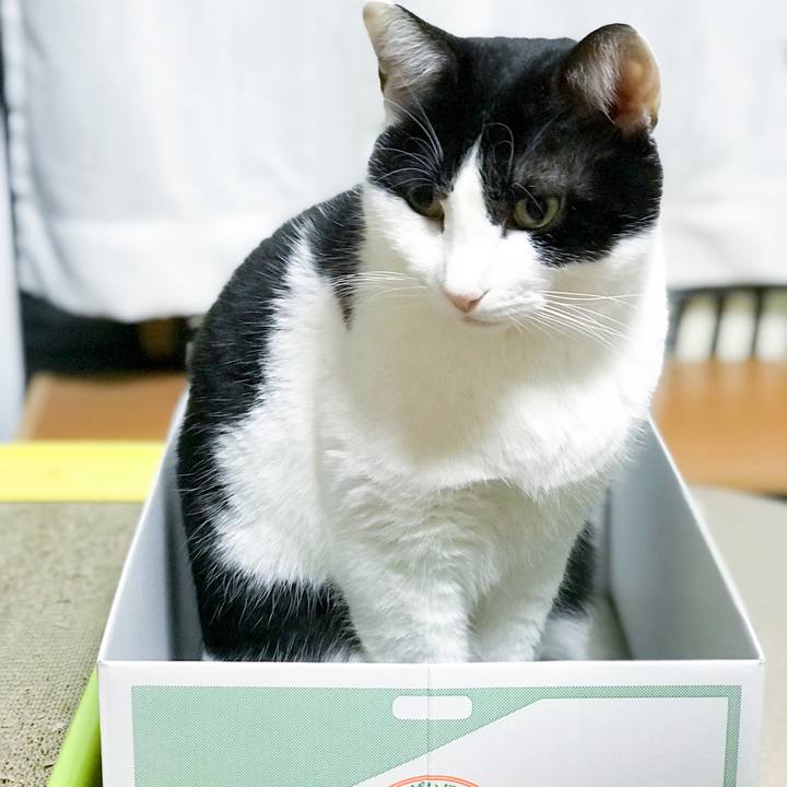 5b38b497 b4d2 4f52 b243 b0a1ee5744ee 1515415234405