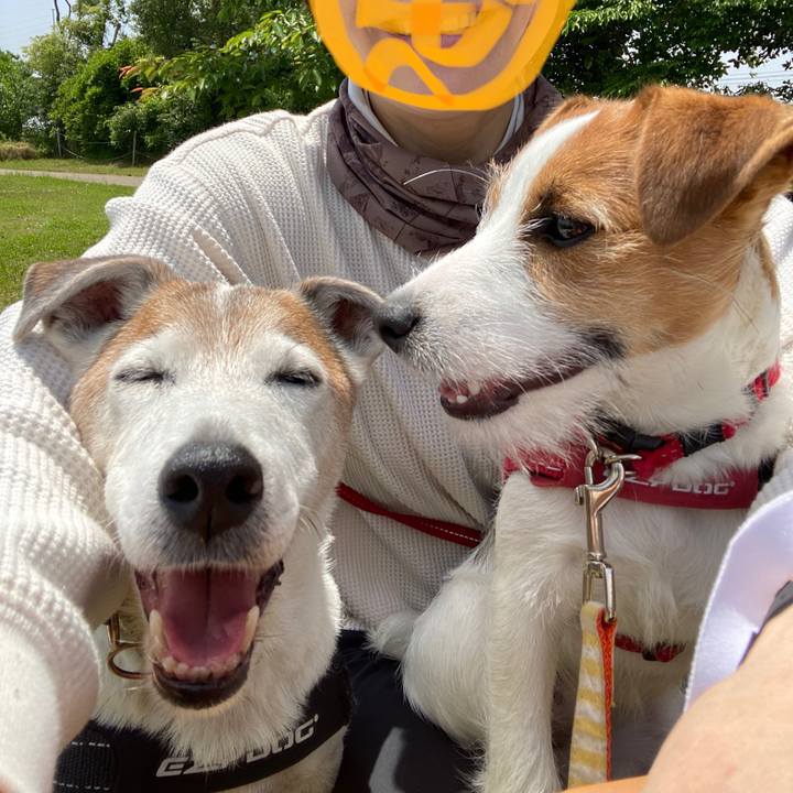 5b38ec33 0978 41b2 9eca d4b220c75979 1620539804311