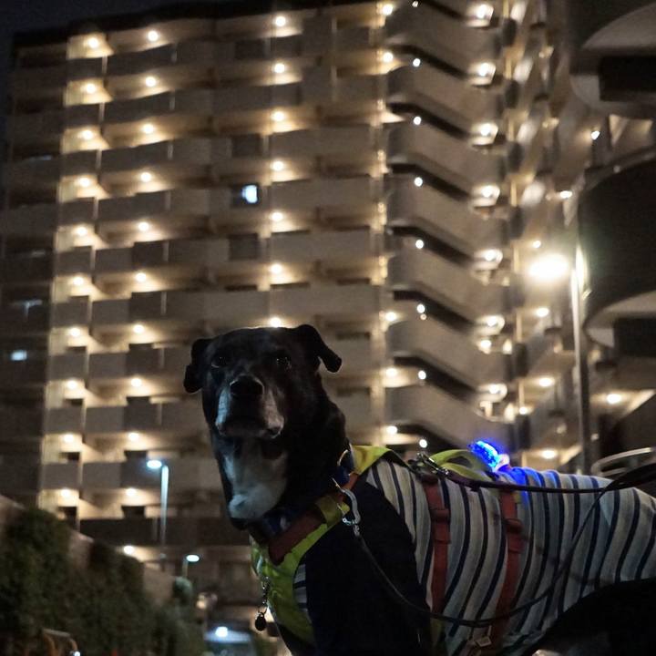 5b38f46d e590 4e59 978d 936e07ce347a 1769599191456