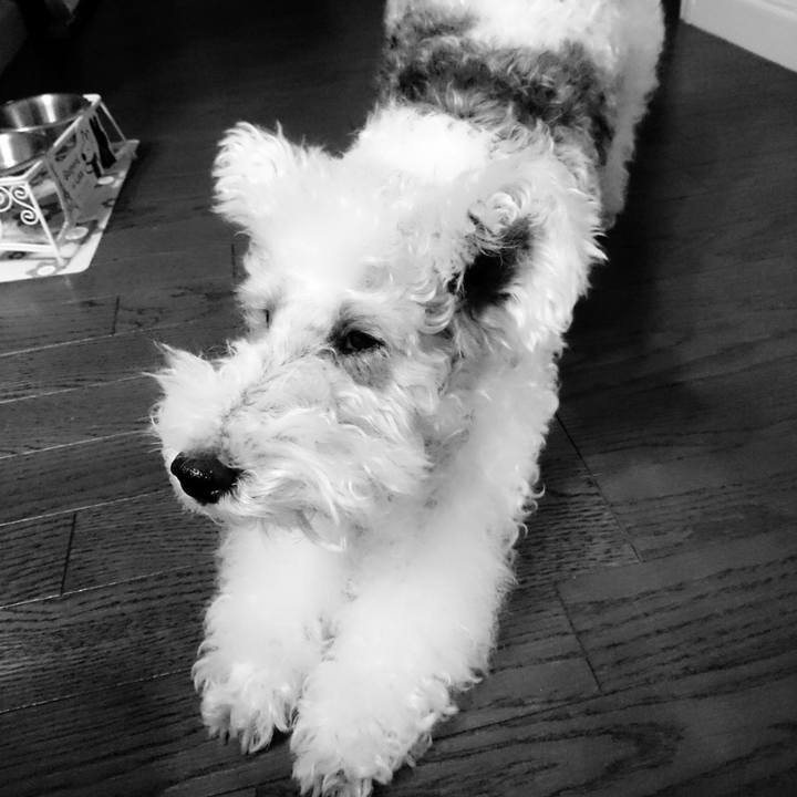 5b38f84f a46b 43d4 9f42 4e4d2267332e 1517314080636