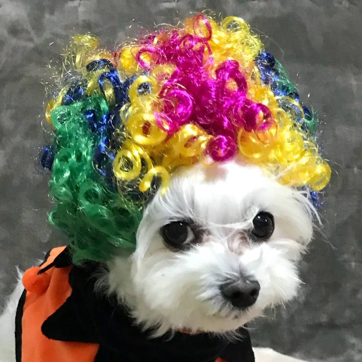 5b39078f 541c 4df3 8760 2f2c0b1ca8c8 1761879595289