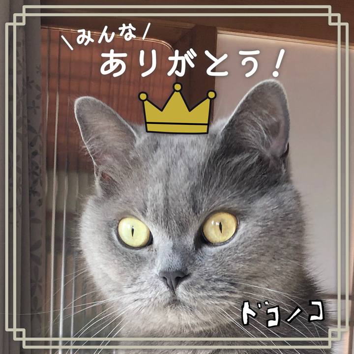 5b394e9c aa65 4385 8c6a d5bd6b041deb 1622862582757