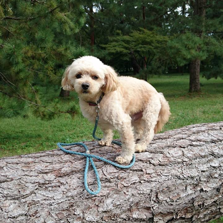 5b396795 b18d 4250 adce c54a5ee51574 1571125499307