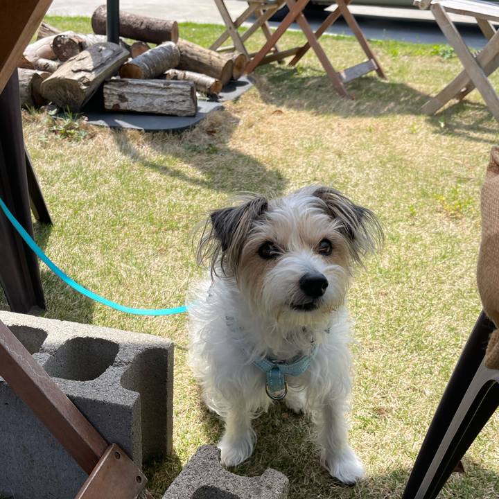 5b397d64 9b05 4e63 8623 07273d177f08 1776430379549