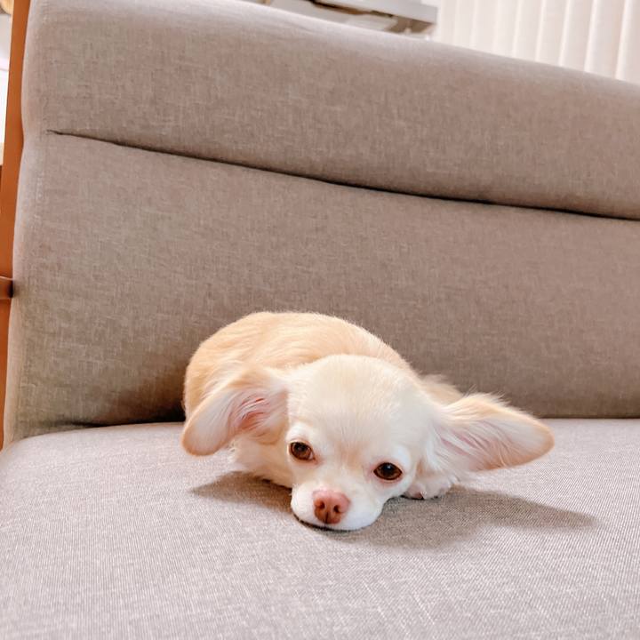 5b39a517 fdbf 40af 8d75 35eb29bb5cc0 1659601718896