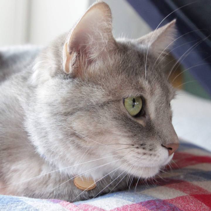 5b39ab2a 2416 4984 bcab a8d2091c4ecd 1572490833051