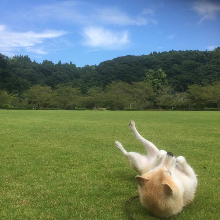 5b39acd5 56a4 4025 8ef1 0abe9afd4fe4 1533998997104