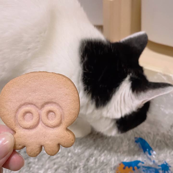 5b39c520 ec68 40a5 a634 521f41c6c4b6 1633617773415