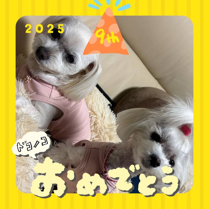 5b3a1934 c53d 4bca 8d4b 402d90d41682 1749372234304