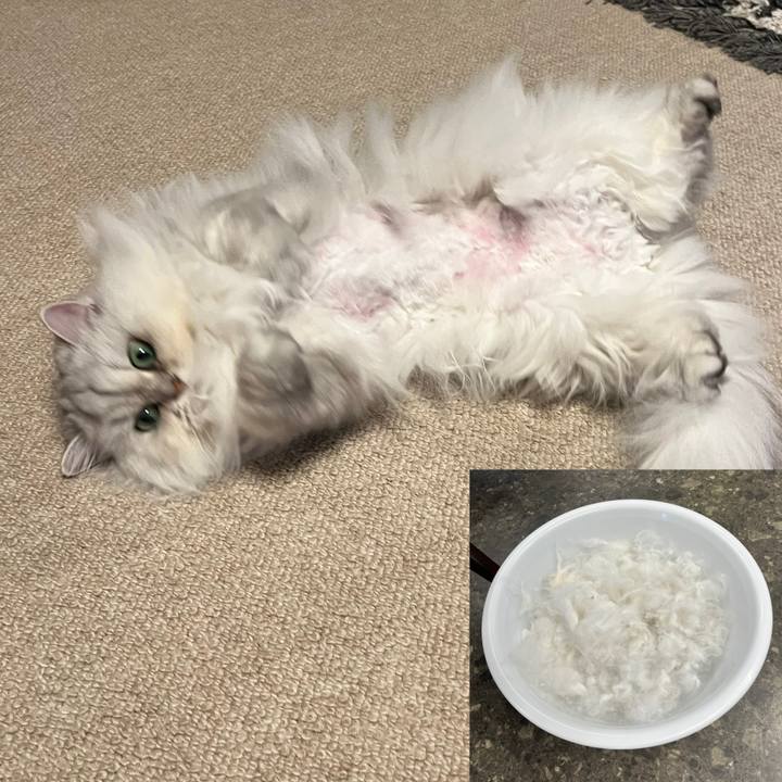 5b3a33d2 24d4 46b4 b8aa 6614d0bb61db 1642838614457